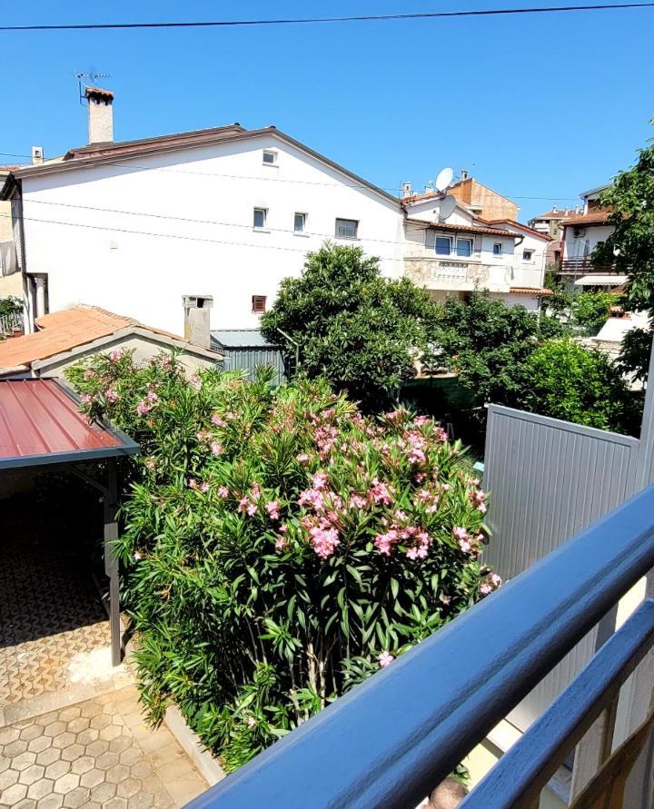 Apartmani Sojka Rovinj Eksteriør bilde